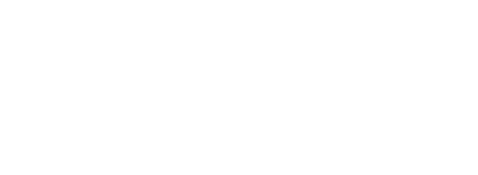 Qubix IT Consulting